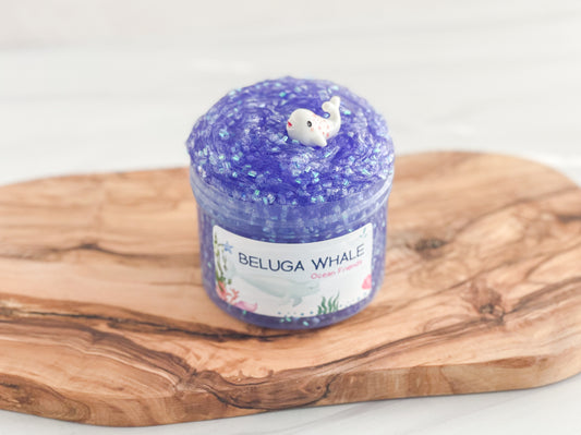 Beluga Whale